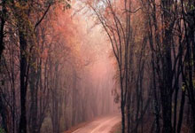 PG电子官方-决胜时刻：当赛场变成战场