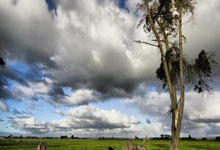 PG电子线上登入-布宜诺斯艾利斯独立全队士气高昂，冲击世俱杯更高荣誉