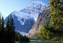 PG平台-密尔沃基风暴席卷菲尼克斯！雄鹿客场碾压太阳诠释绝对统治力