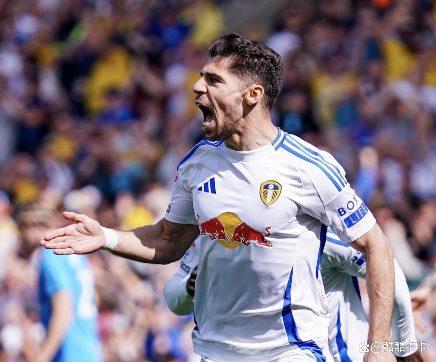 利兹联再胜利，稳坐英超第三！