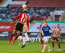 谢菲联惊险战胜西汉姆联，书写奇迹的简单介绍