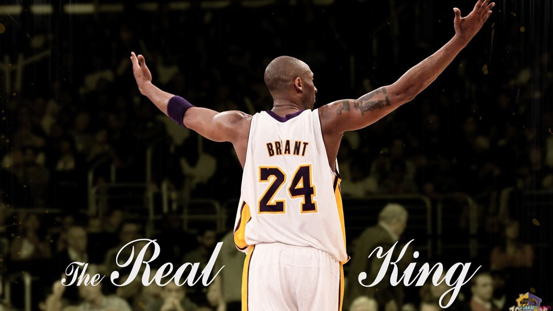 PG平台-梅德韦杰夫与反罗兰·加洛斯的胜利，硬地实验室如何横扫百年红土圣殿